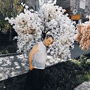 ���� ������, ������, 54 ���� - ��������� 20 ������� 2025 � ������ ���� ����������