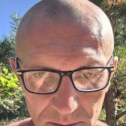 , 44, 