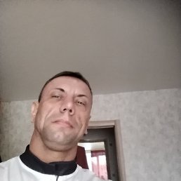 ���� ���������, ������������, 42 ���� - ��������� 15 ������� 2025