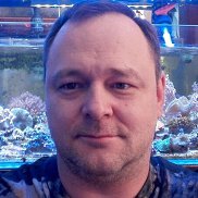 ������, 41 ���, ������