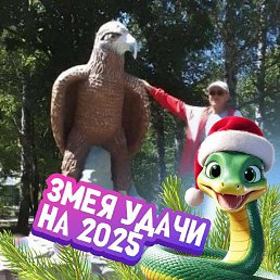 , 43 , 