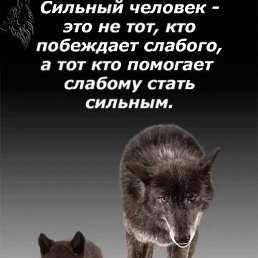 �������, ������, 33 ����