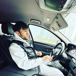 �����, 41 ���, ������