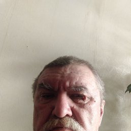 ���� �����, ���, 65 ��� - ��������� 1 ��� 2024