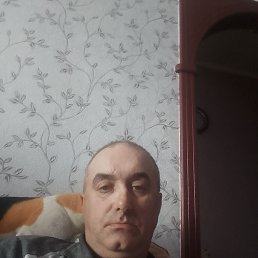  , 50 , 