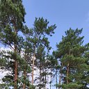 ���� Hoffnung, ���������, 58 ��� - ��������� 18 ������� 2025 � ������ ������ ��������
