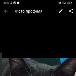  , , 50  -  4  2025