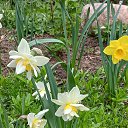 ���� ������, �����-���������, 62 ���� - ��������� 24 �������� 2025 � ������ �������