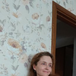 ����, 40 ���, ������