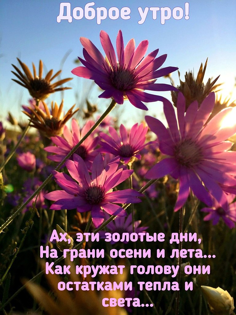   - 17  2025  11:29