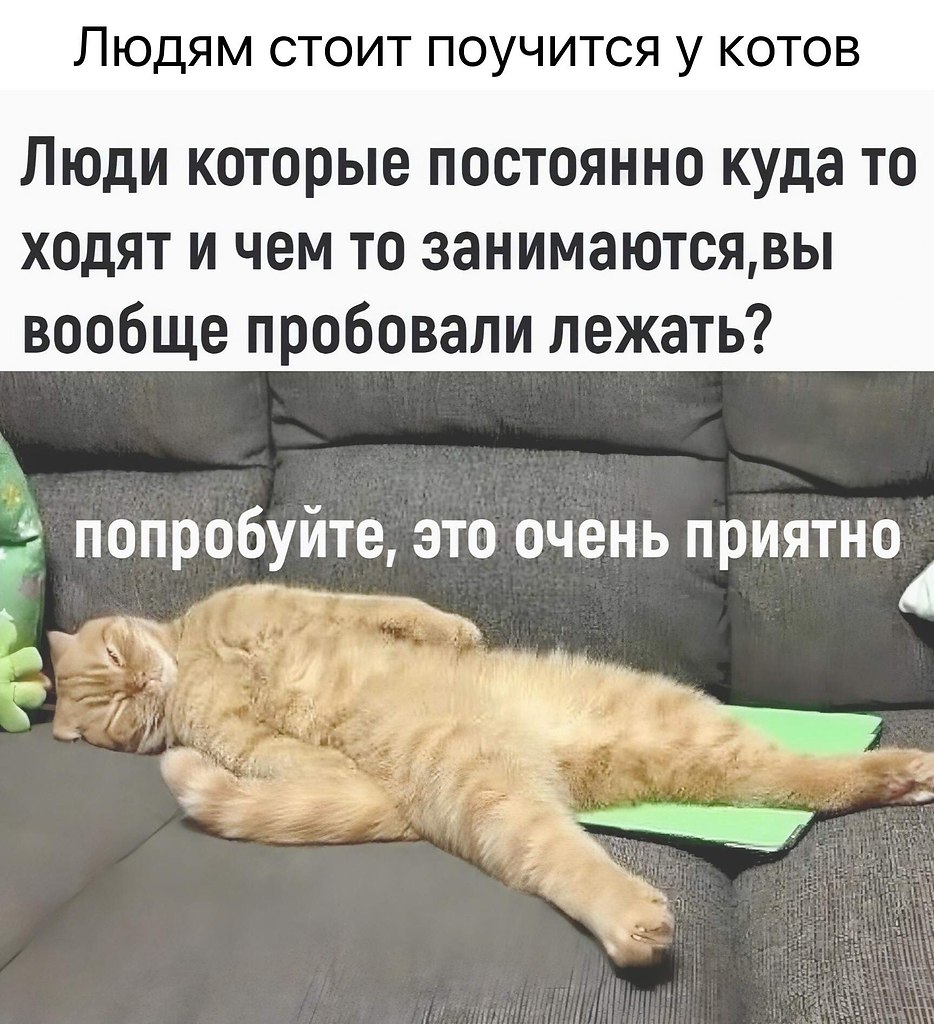    - 9  2024  12:42