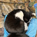 ���� ����, �������, 37 ��� - ��������� 7 ������� 2025 � ������ ������ ��������