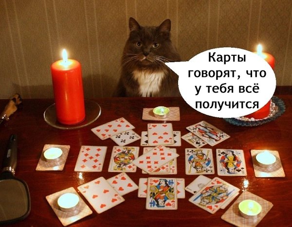  Just Business - 14  2025  23:43