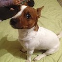 ���� �����, ������, 42 ���� - ��������� 3 ������� 2025 � ������ ���� ����������