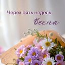 ���� ���, �������� - ��������� 26 ������ 2026 � ������ ������ ��������