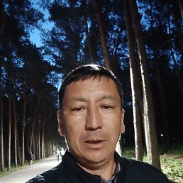 , 46, 