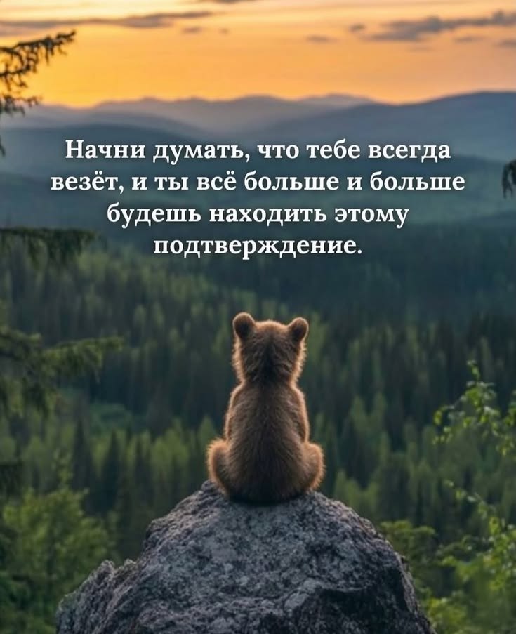 .�������. - 1 ������ 2026 � 00:33
