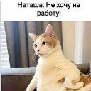���� �������, ������, 47 ��� - ��������� 9 ������� 2024 � ������ ���� ����������