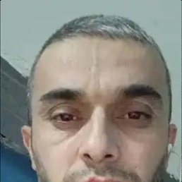 , 40, 
