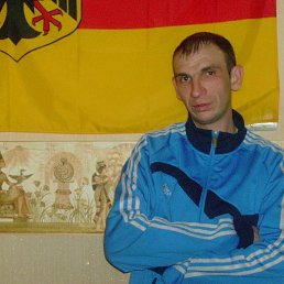 ������, 41 ���, �����