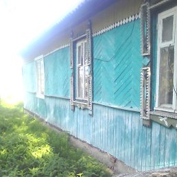 ������, ������, 81 ���