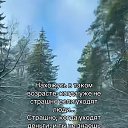 ���� �������., ������, 54 ���� - ��������� 7 ������ 2026 � ������ ���� ����������