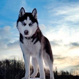 �����, �����, 22 ����