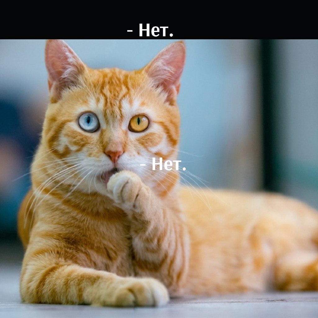       - 4  2025  21:54 - 2