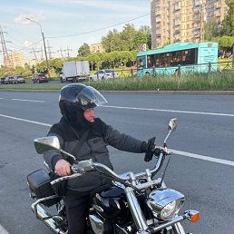 ���� Olgerd, �����-���������, 45 ��� - ��������� 5 �������� 2026