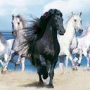 ���� ����, �����, 44 ���� - ��������� 10 ������ 2026