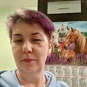 ���� ���������, ������, 53 ���� - ��������� 13 ��� 2026 � ������ ���� ����������