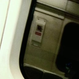 ����, �������, 41 ���