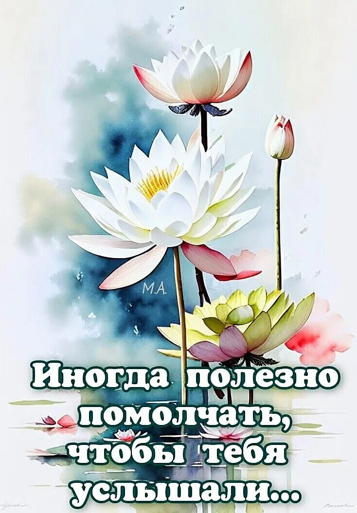  - 2  2024  19:33