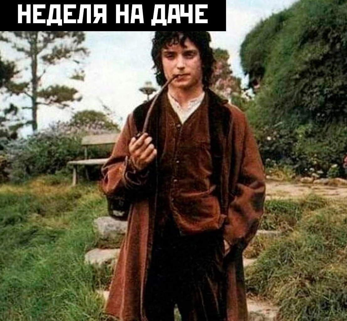 Дачники тута? - 2