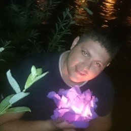 ���������, �����������-��-�����, 41 ���