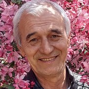 , 65 , 