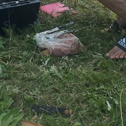 �������, ���������, 32 ����