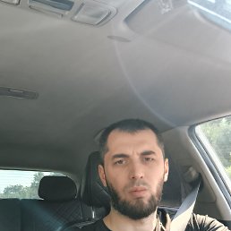 , 33, 