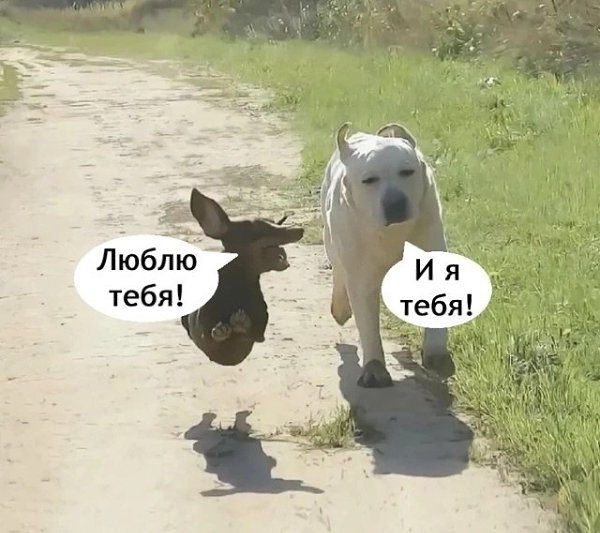  ..  ! - 6