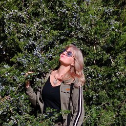 ����, �������, 53 ����