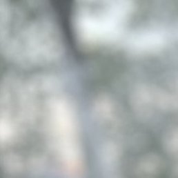 �����, �����-���������, 28 ���