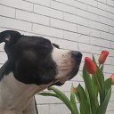 ���� ����, �������, 44 ���� - ��������� 2 ������ 2026 � ������ ���� ����������