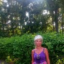 ���� ������, ���������, 54 ���� - ��������� 14 ���� 2024 � ������ ���� ����������