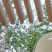 ����, 58 ���, ������