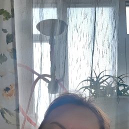 , 61, 