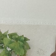 ����� ��������� ���������, 95 ���, ������