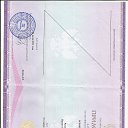 ���� �������, �����-���������, 72 ���� - ��������� 29 ������� 2025