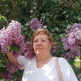 ���� ����, ������, 64 ���� - ��������� 23 ������� 2025