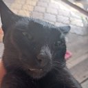 , !!!    