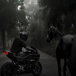 ������, ������, 39 ���